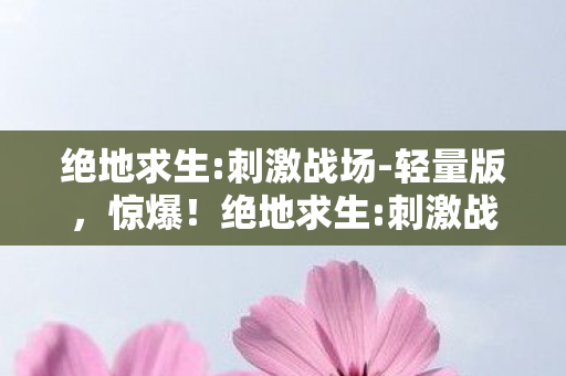 绝地求生:刺激战场-轻量版，惊爆！绝地求生:刺激战场背后藏500万隐情，离职老兵一抖料吓一跳！
