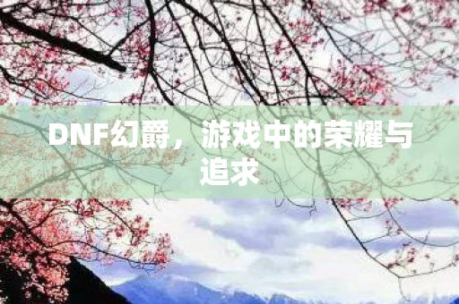 DNF幻爵,游戏中的荣耀与追求 DNF幻爵,游戏中的荣耀与追求