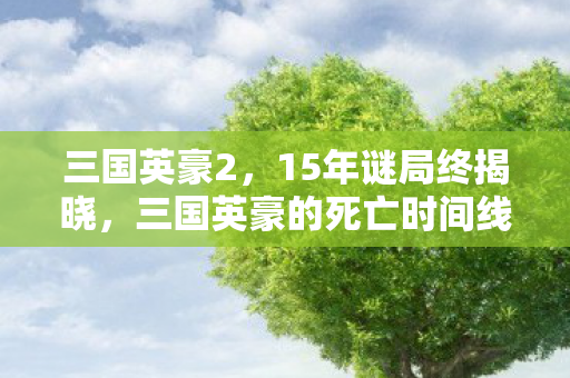 三国英豪2，15年谜局终揭晓，三国英豪的死亡时间线为何让百万玩家泪目？