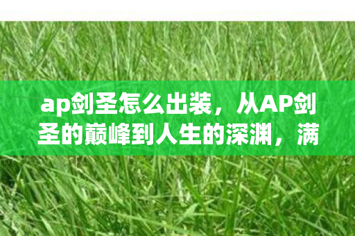 ap剑圣怎么出装，从AP剑圣的巅峰到人生的深渊，满级王者，现实负分的灵魂震颤