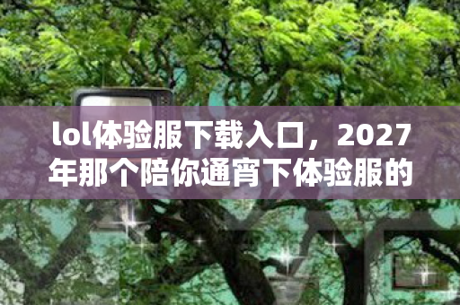 lol体验服下载入口，2027年那个陪你通宵下体验服的TA，如今连上线都成了鼻子一酸的伏笔