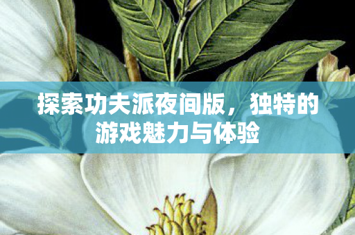 探索功夫派夜间版,独特的游戏魅力与体验 探索功夫派夜间版,独特的游戏魅力与体验