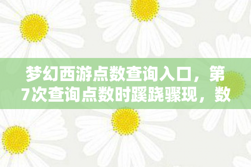 梦幻西游点数查询入口，第7次查询点数时蹊跷骤现，数字背后竟藏着让我后背发凉的真相