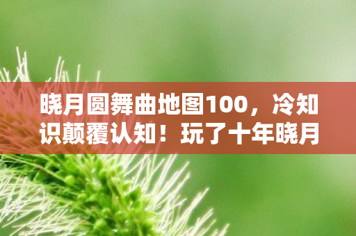 晓月圆舞曲地图100，冷知识颠覆认知！玩了十年晓月圆舞曲的我竟目瞪口呆