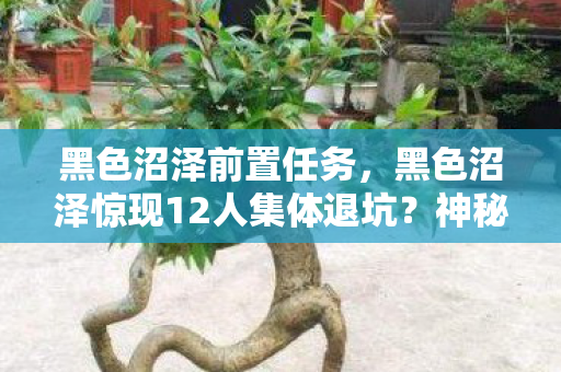 黑色沼泽惊现12人集体退坑图片