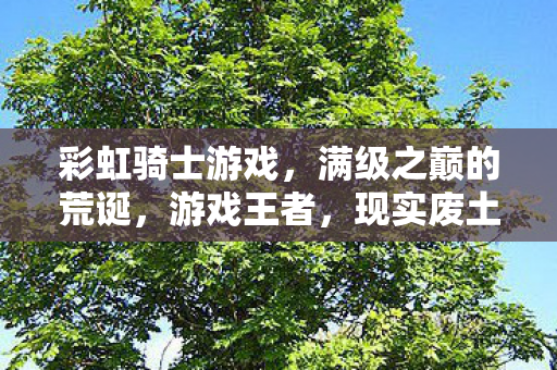 彩虹骑士游戏，满级之巅的荒诞，游戏王者，现实废土的灵魂悖论