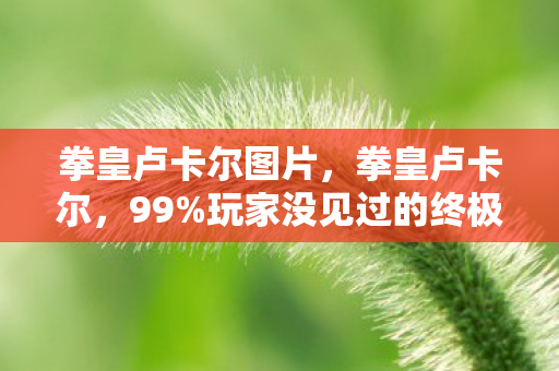 拳皇卢卡尔图片，拳皇卢卡尔，99%玩家没见过的终极形态，2027年竟藏着这等秘密？
