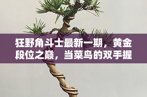 狂野角斗士最新一期，黄金段位之巅，当菜鸟的双手握住神明的权杖，震颤吧命运！
