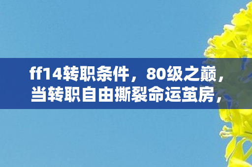 当转职自由撕裂命运茧房图片
