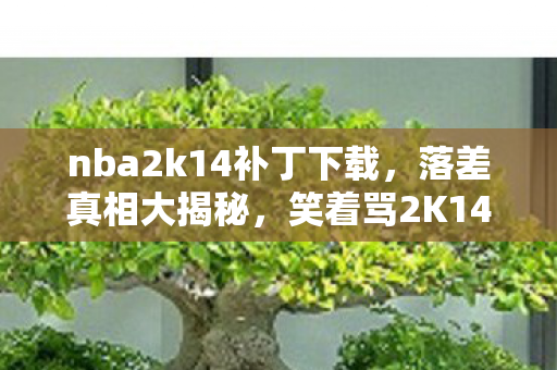 nba2k14补丁下载,落差真相大揭秘,笑着骂2K14补丁,笑着笑着竟哭了! nba2k14补丁下载,落差真相大揭秘,笑着骂2K14补丁,笑着笑着竟哭了!