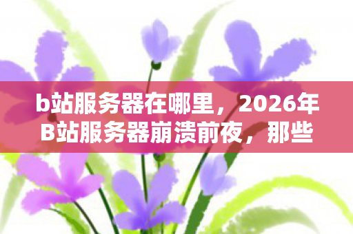 b站服务器在哪里,2026年B站服务器崩溃前夜,那些凌晨三点的等你,让我鼻子一酸 b站服务器在哪里,2026年B站服务器崩溃前夜,那些凌晨三点的等你,让我鼻子一酸