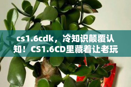cs1.6cdk,冷知识颠覆认知!CS1.6CD里藏着让老玩家目瞪口呆的惊天秘密 cs1.6cdk,冷知识颠覆认知!CS1.6CD里藏着让老玩家目瞪口呆的惊天秘密
