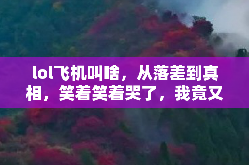 lol飞机叫啥，从落差到真相，笑着笑着哭了，我竟又为lol飞机破防