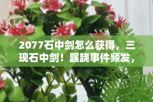 2077石中剑怎么获得图片