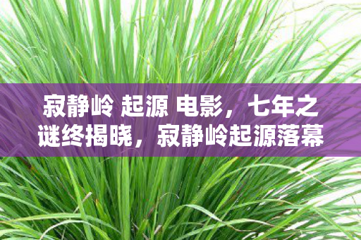 寂静岭 起源 电影,七年之谜终揭晓,寂静岭起源落幕时泪目成河 寂静岭 起源 电影,七年之谜终揭晓,寂静岭起源落幕时泪目成河