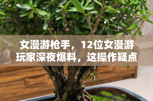 女漫游枪手，12位女漫游玩家深夜爆料，这操作疑点重重，老炮当场绷不住！
