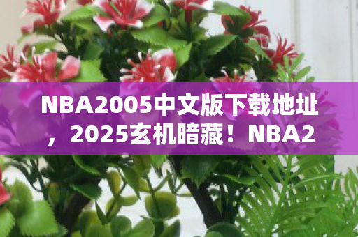 NBA2005中文版下载地址图片