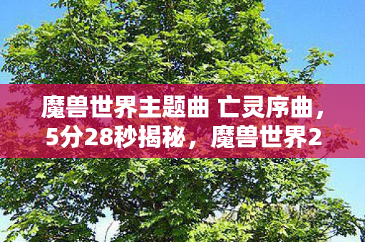 魔兽世界主题曲 亡灵序曲图片