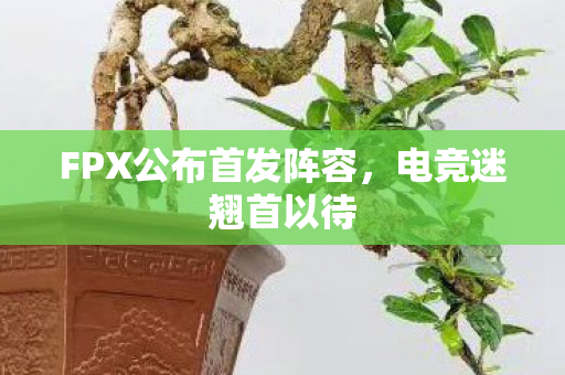 FPX公布首发阵容,电竞迷翘首以待 FPX公布首发阵容,电竞迷翘首以待