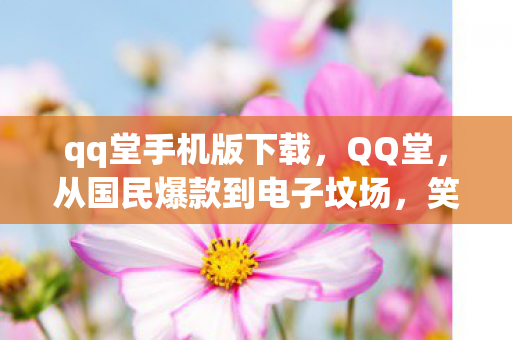 qq堂手机版下载，QQ堂，从国民爆款到电子坟场，笑着骂完才发现，这落差真相让我哭成狗
