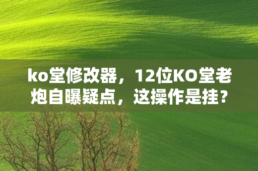 ko堂修改器,12位KO堂老炮自曝疑点,这操作是挂?萌新当场绷不住! ko堂修改器,12位KO堂老炮自曝疑点,这操作是挂?萌新当场绷不住!