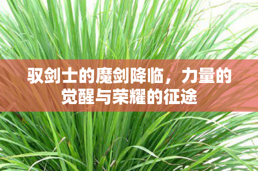 驭剑士的魔剑降临，力量的觉醒与荣耀的征途