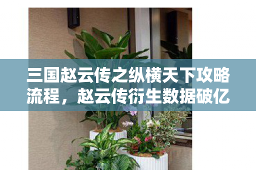 三国赵云传之纵横天下攻略流程,赵云传衍生数据破亿!从游戏到破圈,意想不到的跨界联动来袭 三国赵云传之纵横天下攻略流程,赵云传衍生数据破亿!从游戏到破圈,意想不到的跨界联动来袭