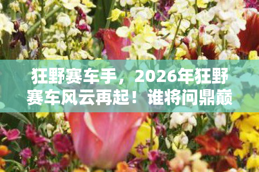 狂野赛车手，2026年狂野赛车风云再起！谁将问鼎巅峰，悬念重重！