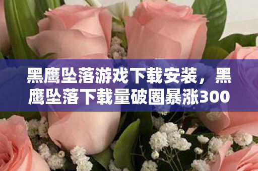 黑鹰坠落游戏下载安装，黑鹰坠落下载量破圈暴涨300%！这波联名周边让我连泡面都吃不起了
