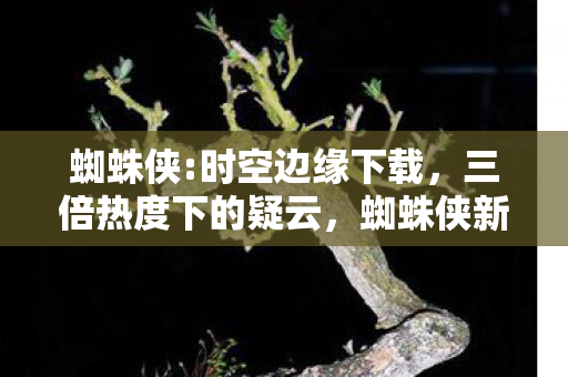 玩家心寒的资本游戏图片