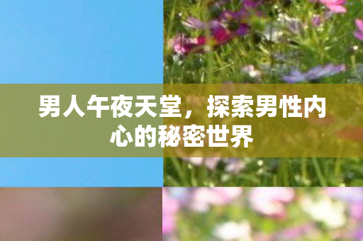 男人午夜天堂，探索男性内心的秘密世界