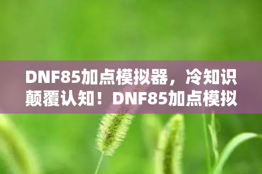 DNF85加点模拟器，冷知识颠覆认知！DNF85加点模拟器竟藏着让老玩家目瞪口呆的隐藏算法