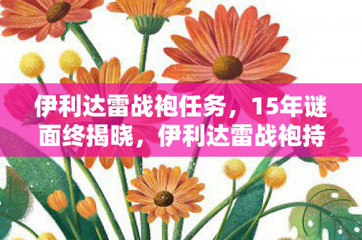 伊利达雷战袍任务，15年谜面终揭晓，伊利达雷战袍持有者死亡时间线曝光，泪目真相竟藏于此