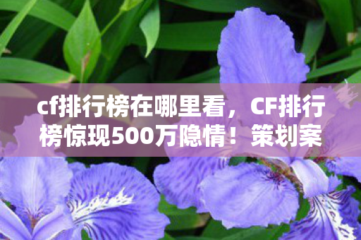 cf排行榜在哪里看,CF排行榜惊现500万隐情!策划案被砍真相曝光,结果让人吓一跳! cf排行榜在哪里看,CF排行榜惊现500万隐情!策划案被砍真相曝光,结果让人吓一跳!