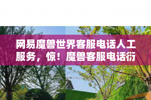 网易魔兽世界客服电话人工服务,惊!魔兽客服电话衍生数破圈,竟在潮流界掀起意想不到风暴! 网易魔兽世界客服电话人工服务,惊!魔兽客服电话衍生数破圈,竟在潮流界掀起意想不到风暴!