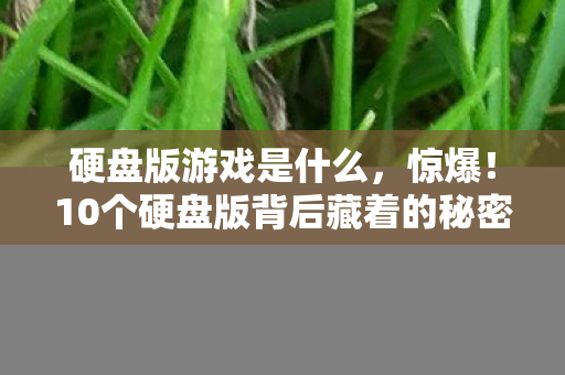 硬盘版游戏是什么,惊爆!10个硬盘版背后藏着的秘密,竟让百万玩家泪目! 硬盘版游戏是什么,惊爆!10个硬盘版背后藏着的秘密,竟让百万玩家泪目!