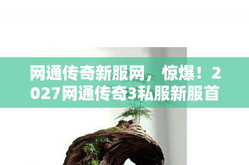 2027网通传奇3私服新服首曝图片