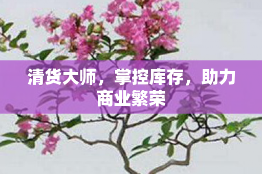 清货大师,掌控库存,助力商业繁荣 清货大师,掌控库存,助力商业繁荣