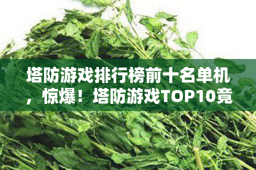 塔防游戏TOP10竟藏着这些逆天玩法图片