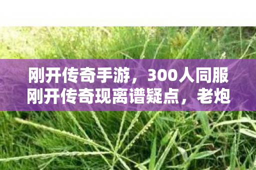 300人同服刚开传奇现离谱疑点图片