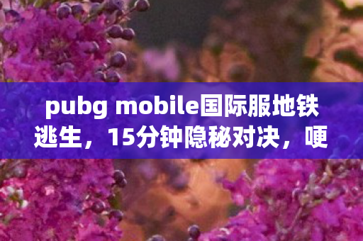 那些年PUBG Mobile国际服的夜图片