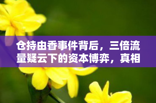 三倍流量疑云下的资本博弈图片