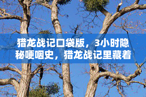 猎龙战记里藏着我再也回不去的青春图片