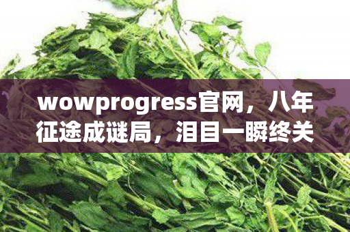 wowprogress官网图片