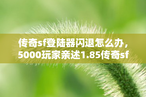 传奇sf登陆器闪退怎么办图片