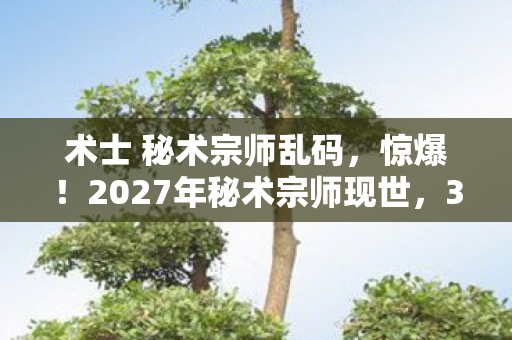 2027年秘术宗师现世图片