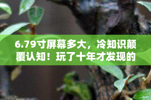 玩了十年才发现的真相让我目瞪口呆图片