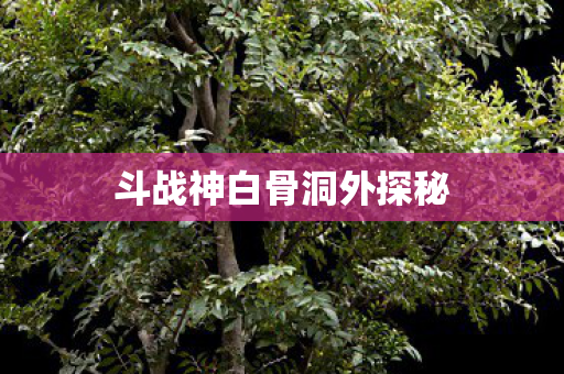 斗战神白骨洞外探秘 斗战神白骨洞外探秘