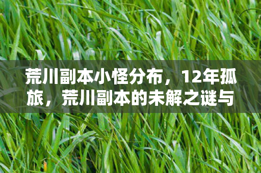 荒川副本的未解之谜与百万玩家的泪目长歌图片