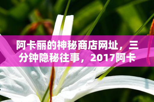 2017阿卡丽商店的哽咽图片